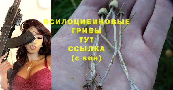 мяу мяу кристалл Арсеньев