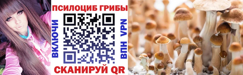 где можно купить Николаевск-на-Амуре Галлюциногенные грибы прущие грибы